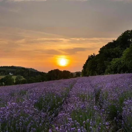 Dom wakacyjny In Germany With Loggia Bellersen