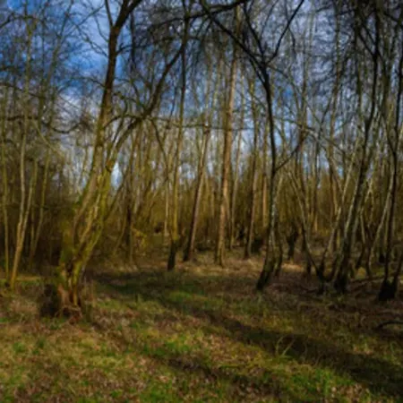 In Germany With Loggia