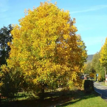 Dom wakacyjny In Germany With Loggia