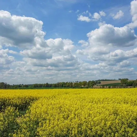 In Germany With Loggia Dom wakacyjny *