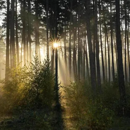 In Germany With Loggia *