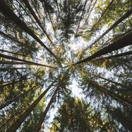 In Germany With Loggia Dom wakacyjny