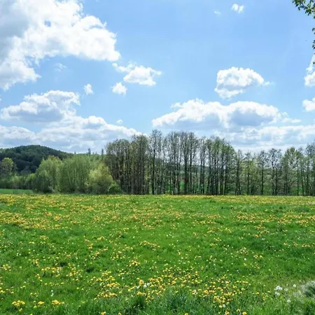 Vakantiehuis Holiday Apartment In The Naturpur Holiday Village Bellersen