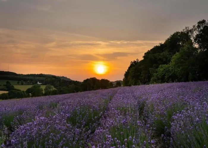 בית נופש In Germany With Loggia Bellersen