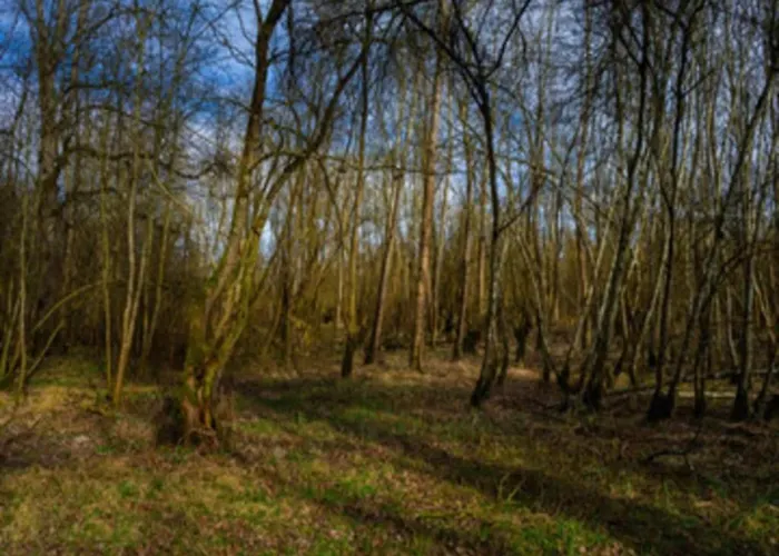 In Germany With Loggia