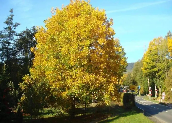 בית נופש In Germany With Loggia