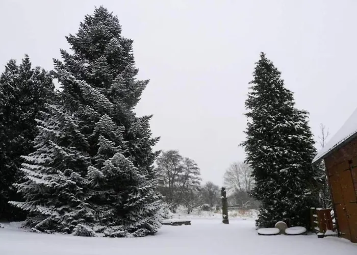 In Germany With Loggia בית נופש Bellersen