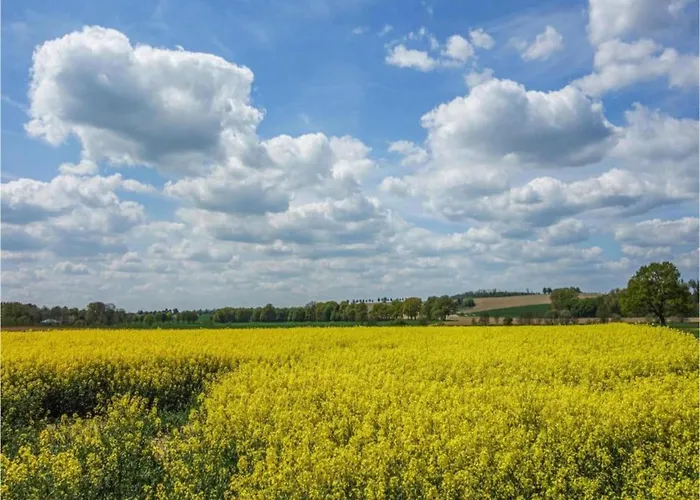 In Germany With Loggia בית נופש *