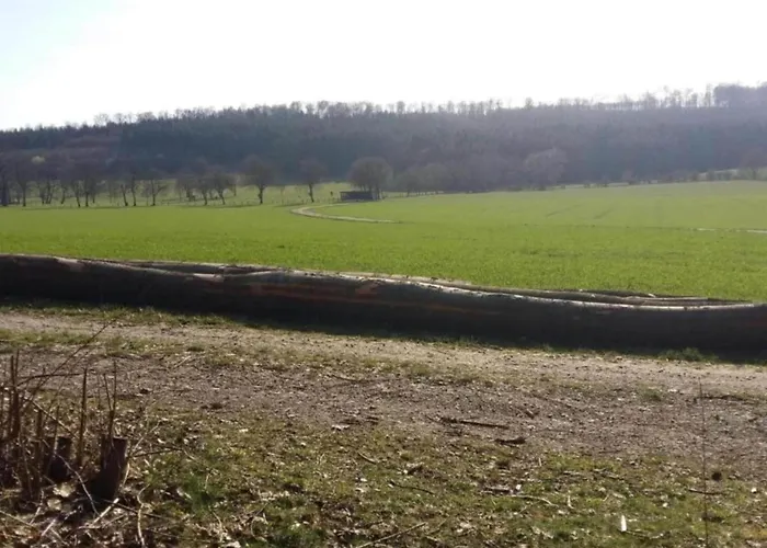 In Germany With Loggia * Bellersen