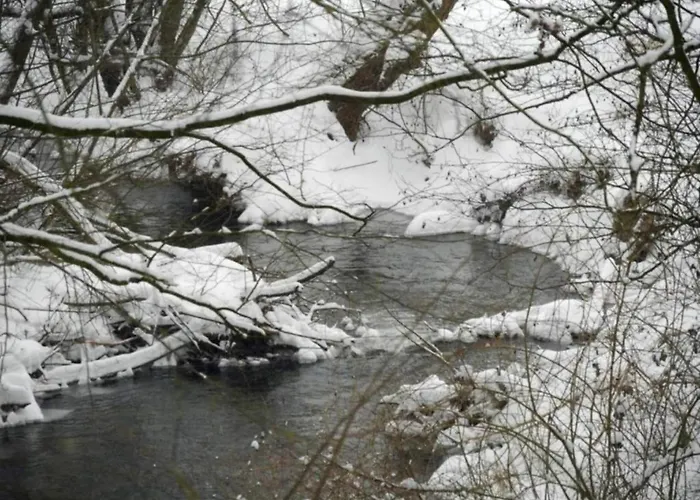 בית נופש In Germany With Loggia