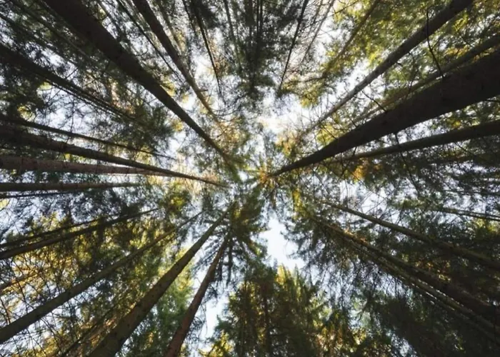 In Germany With Loggia בית נופש